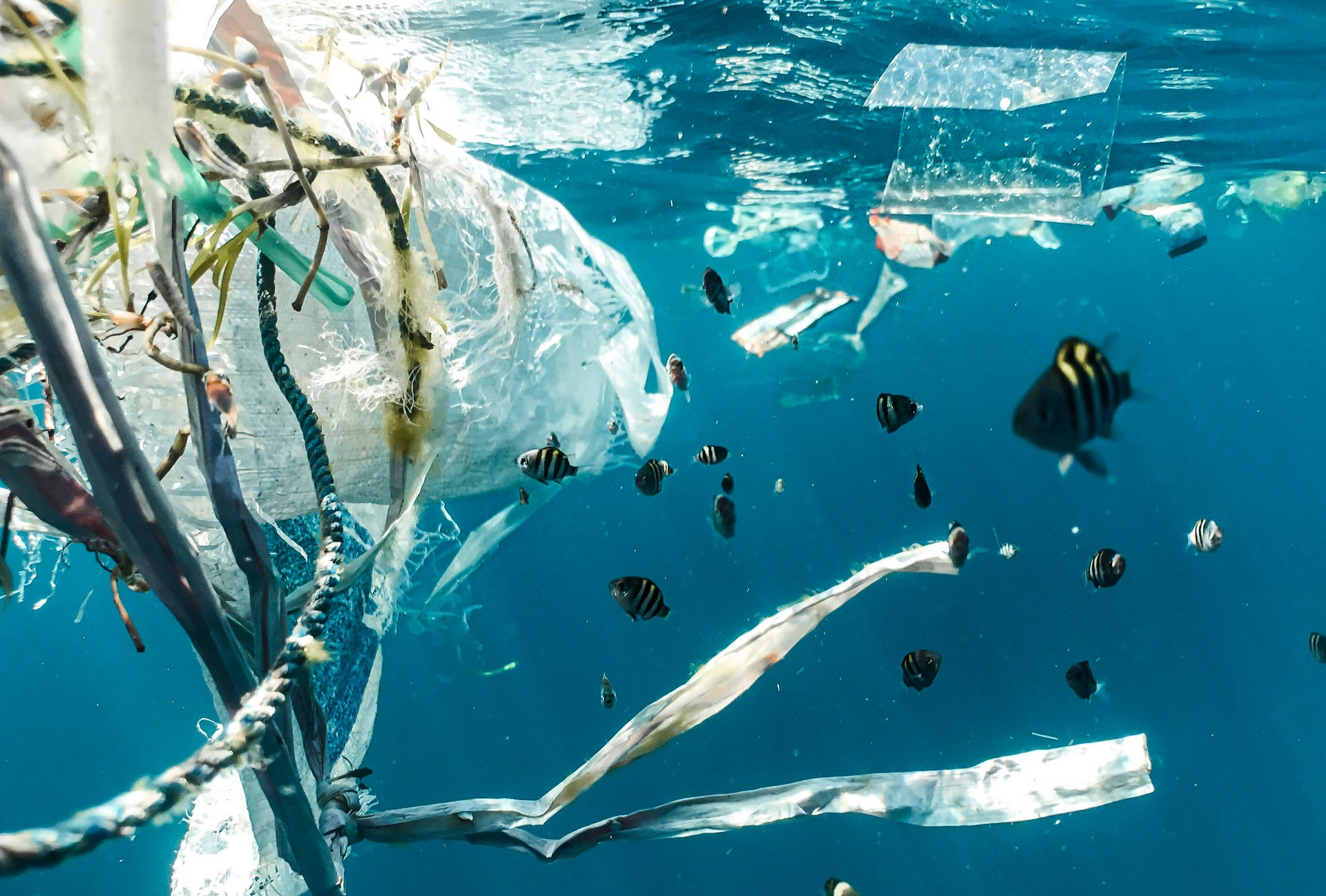 Eau sans polluants